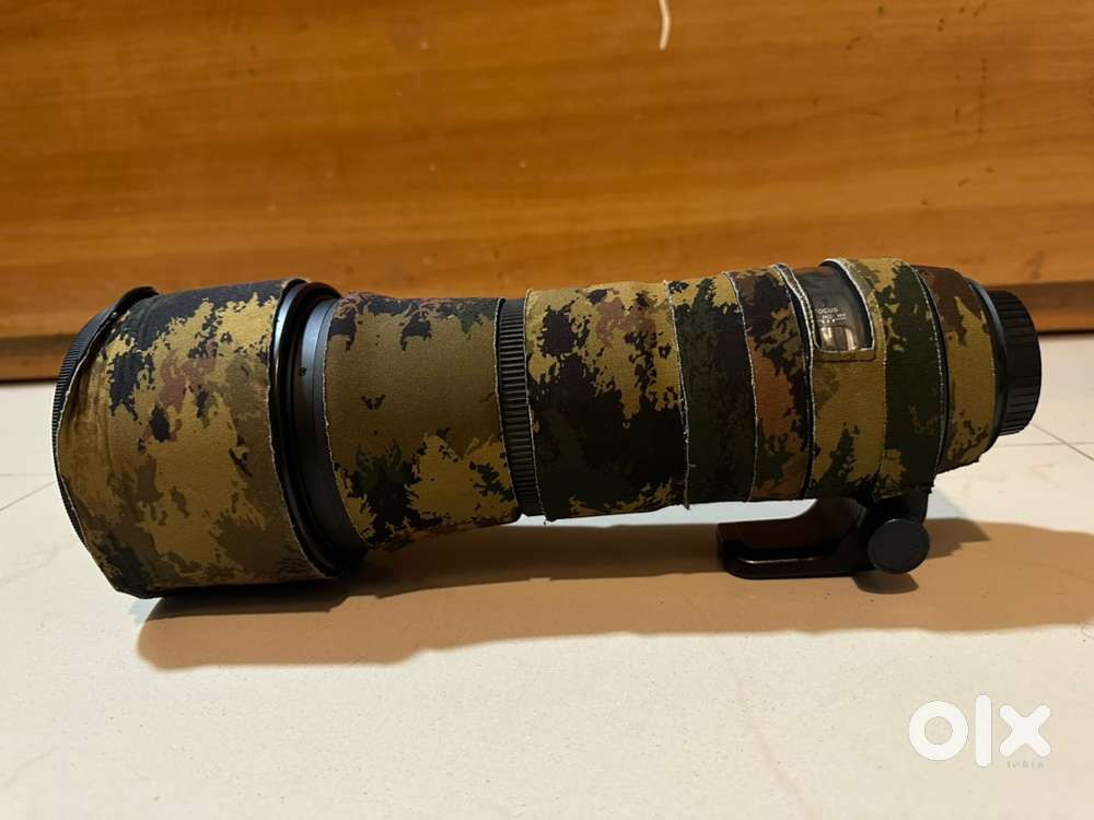 Sigma 150-600 Canon Mount