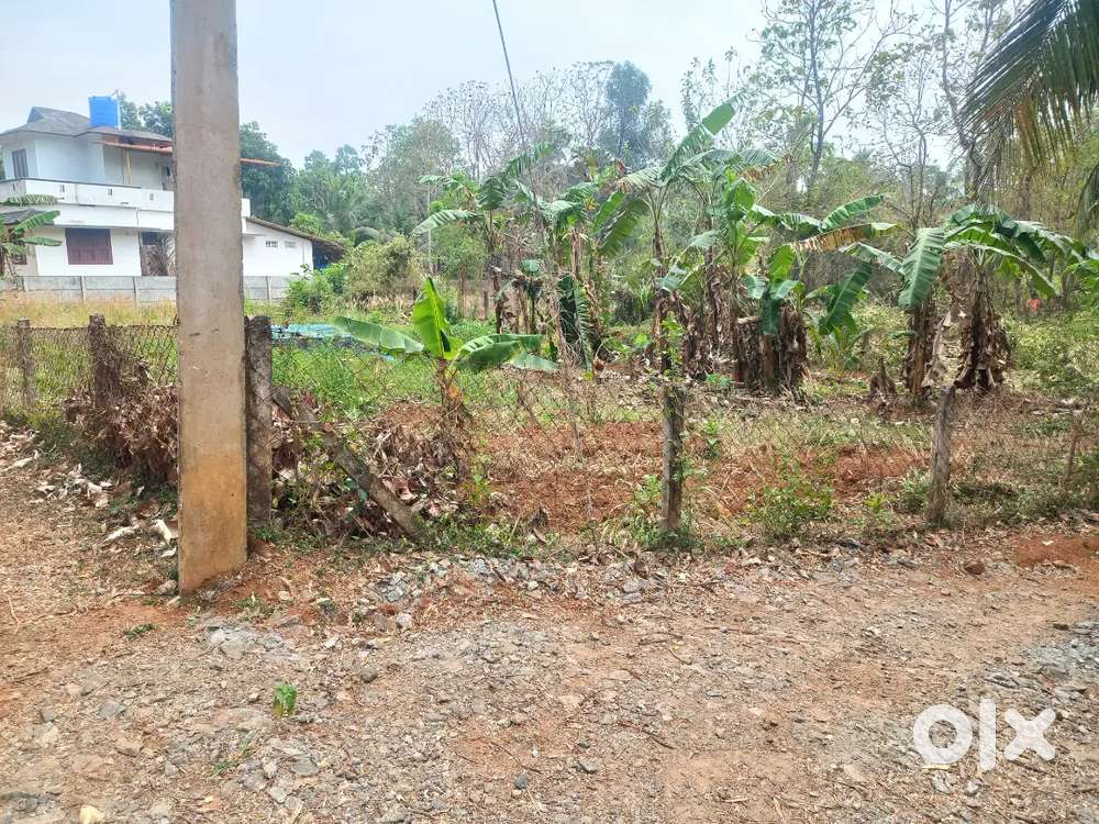 Residential plots of 5 cent and 10 cent in Old Lakkidi, Palakkad.