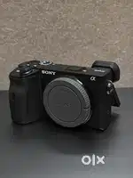 Sony a6600
