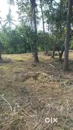 മലപ്പുറം മുനിസിപ്പാലിറ്റിയിൽ സെറ്റിന് 90.000 രൂപക്ക് ഭൂമി വിൽപ്പനക്ക്