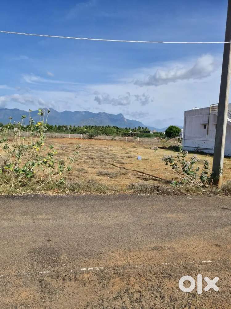 Patta land for sale 15 cent