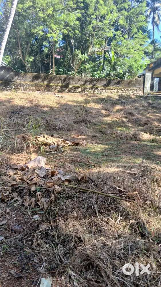 ആലംകോട് ഹൈ സ്കൂളിനടുത്ത് 5 സെന്റ് വസ്തു വില്പനക്ക്