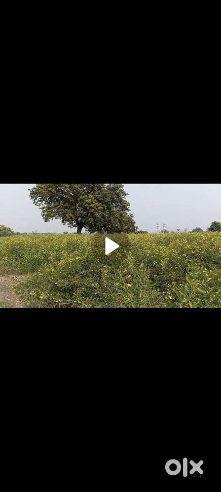 Main road and black soil Field