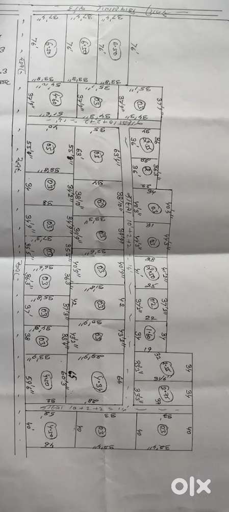 Shivsagar- Chenari Road ka Front Plot For Sale