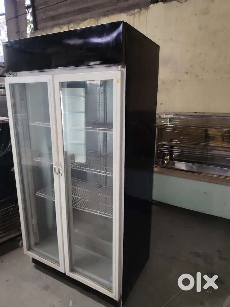 Visi cooler double door