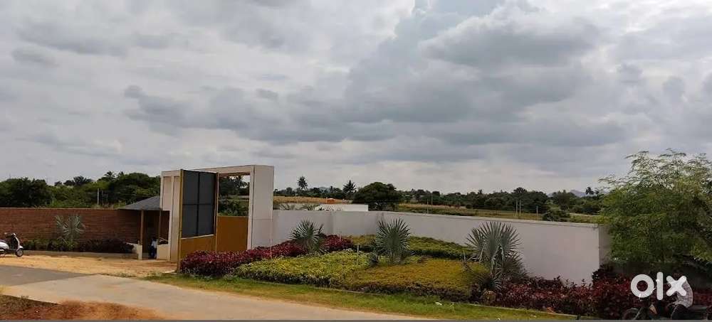 Plot for sale