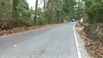 25 cents near Kakkanad - Muvattupuzha road front