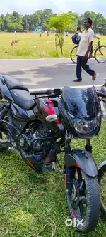 Pulsar 150