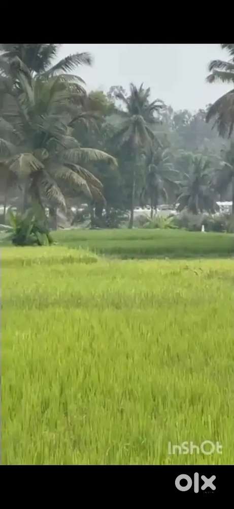 Premium 30 gunta land very close to bengaluru mysuru highway perfect