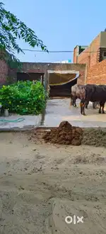Plot for sale