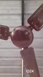 Bajaj Fan sell