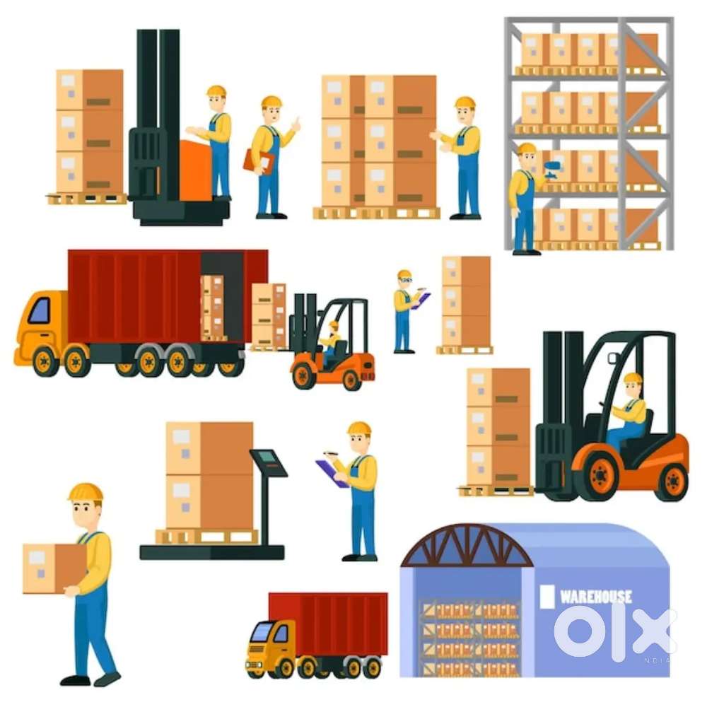 Wanted picker packer ( Hinjewadi)