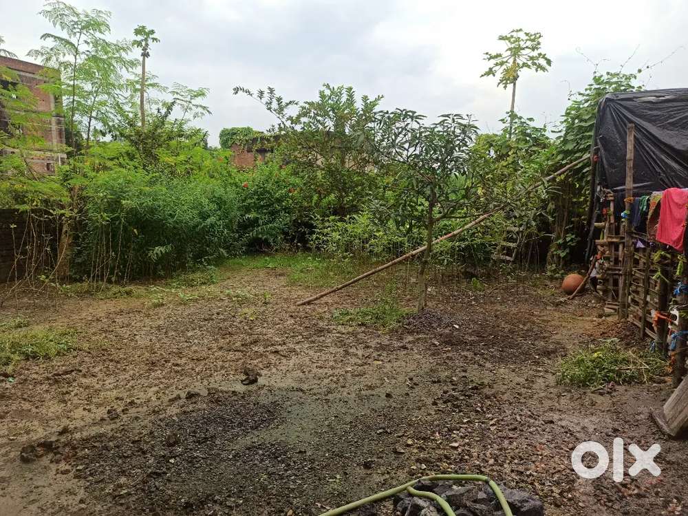 Residential plot sale in manaitand 2 katha hai