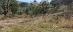 13.5 Marla plot for sale near Main market Kutheda
