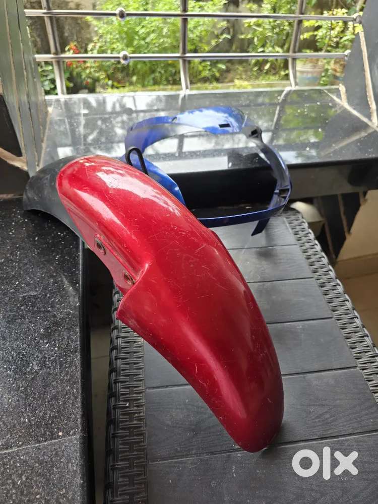 Pulsar genuine mud guard and visor