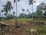 55Cent Purayidam Land Olandu Kongorpilly Road Road Frontage