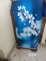 Samsung single door fridge,10 year's old but running successfully
