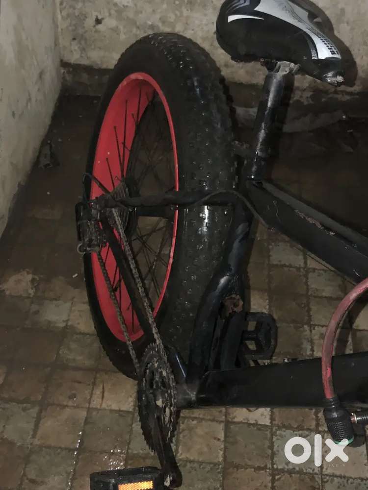 Fat tyre bicycle