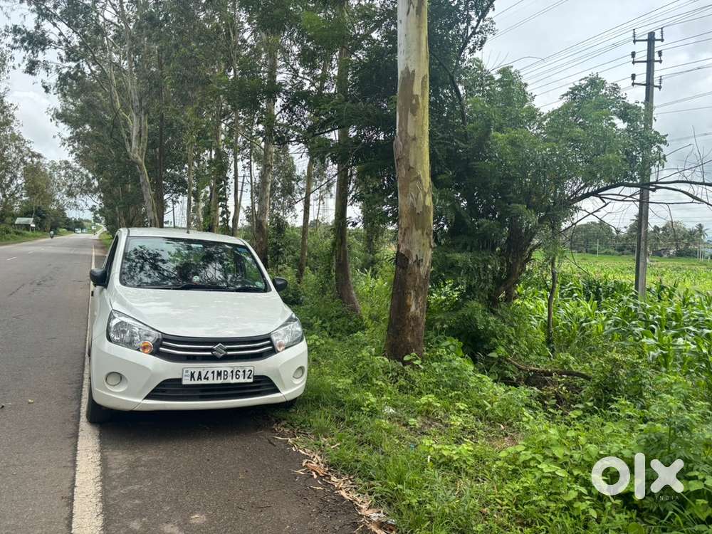 Car is neatly maintained