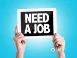 I am in need of office job