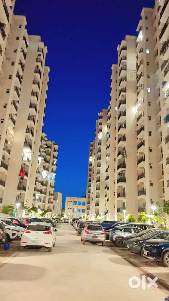 Signature Global Proxima