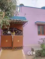 House for rental