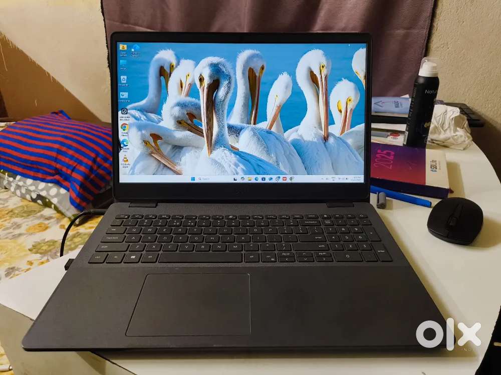 Dell Vostro 3501