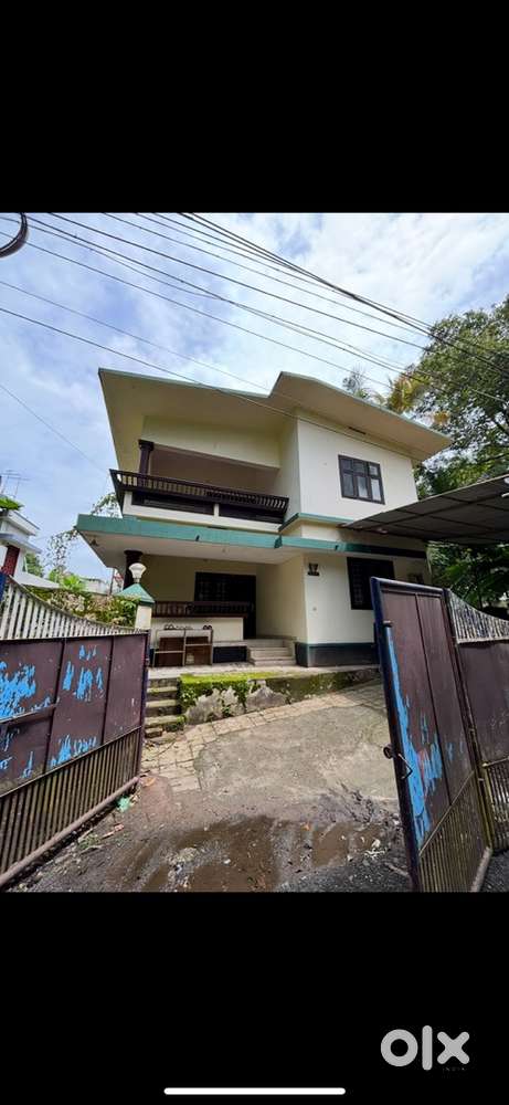 Ladies Pg / Homestay