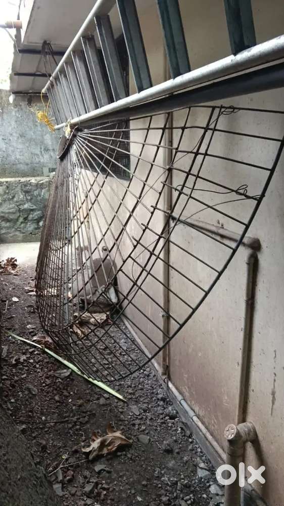 Strong iron Coconut Fall Protection