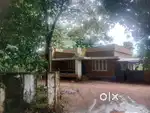10 Cent Commercial plot in Changanacherry Bypass