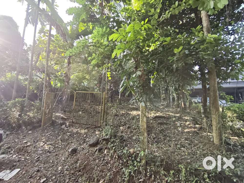 Excellent plot for sale