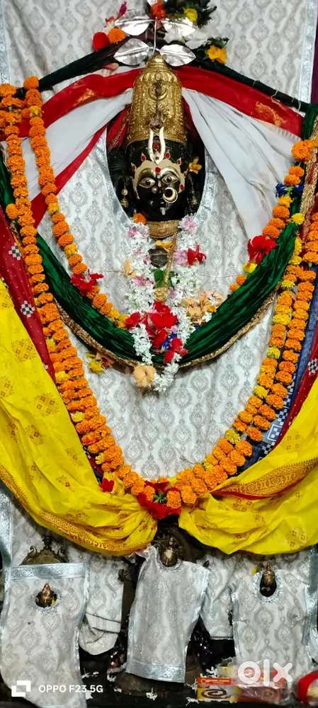 Good Looking and Educated Girl required