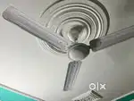 Ceiling fan