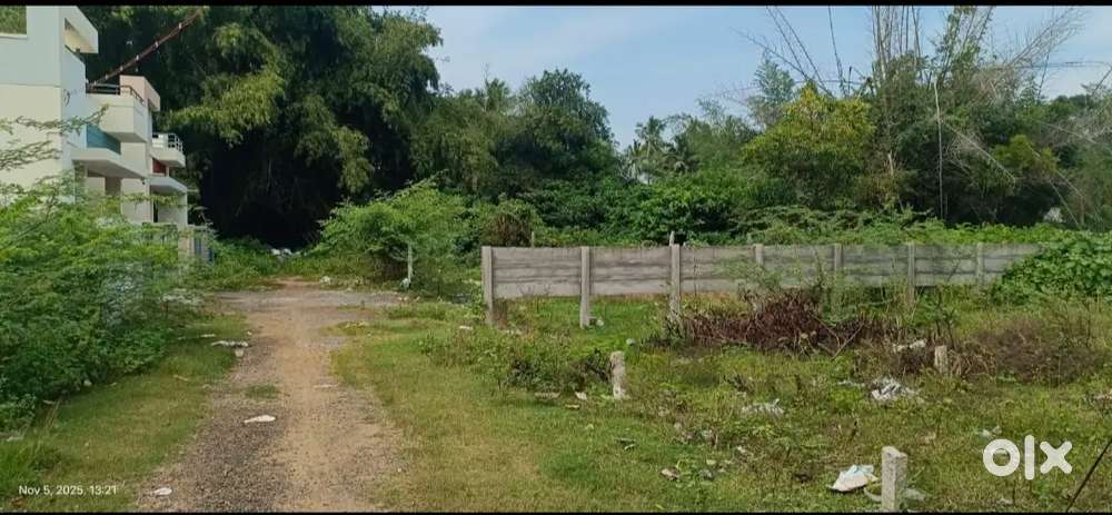 Good Plot and Low Price (Rs. 25,25,000)
