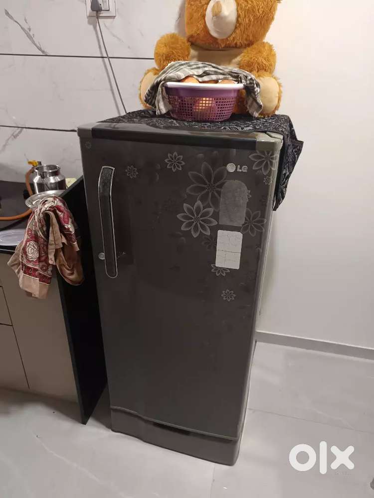 LG Company Fridge
