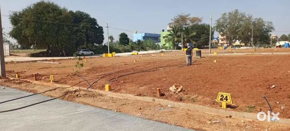 Oraiyan signature valley