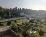 Invest in land