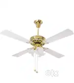 Decorative Ceiling Fan with Lights