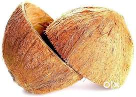 Natural Coconut Shell ( pack of 70 )