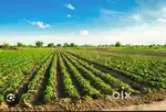 2 ஏக்கர் நிலம்குறைந்த விலை land for sale