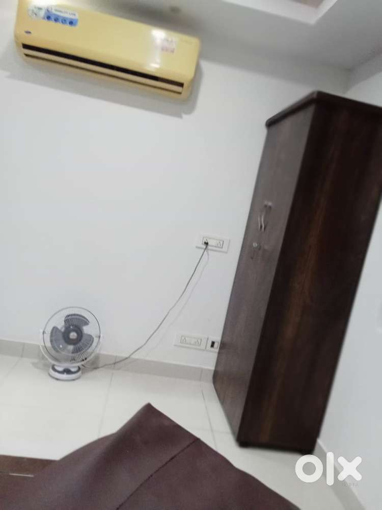 Hiring Now - Female office Executive