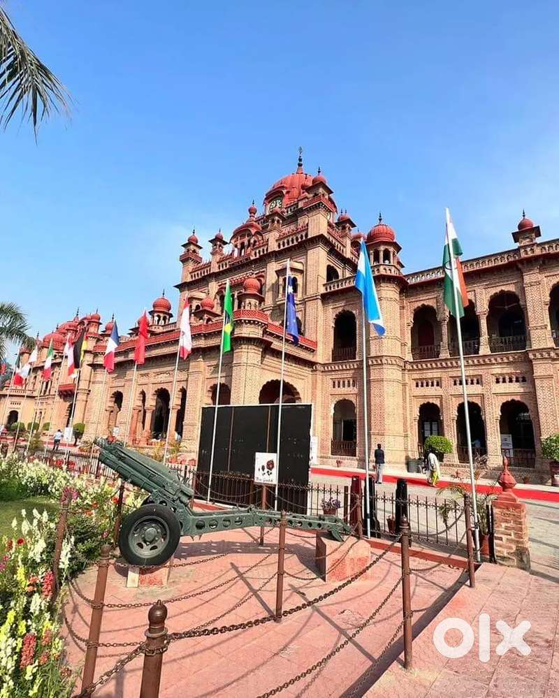 Looking girl for billing