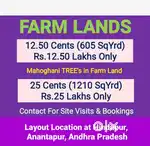 12.5cents FarmLand Rs.12.50Lakhs only at Hindupur, Anantapur