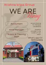 Accountant