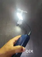 Electric mobile fan and light