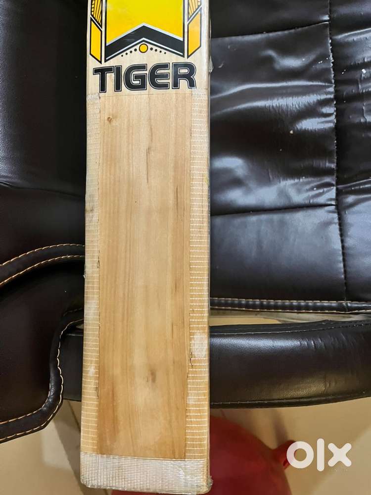 UMZ MB Malik English Willow Grade 1 Bat