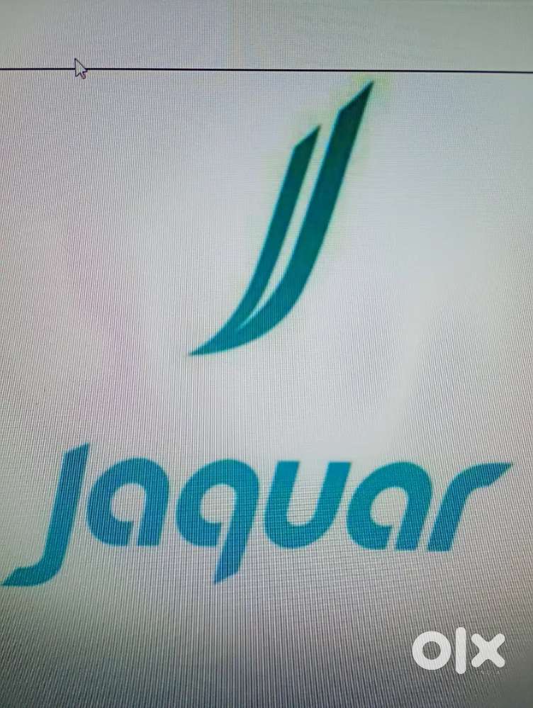 Fresher can apply only girl