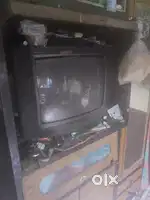 San 2000 tv