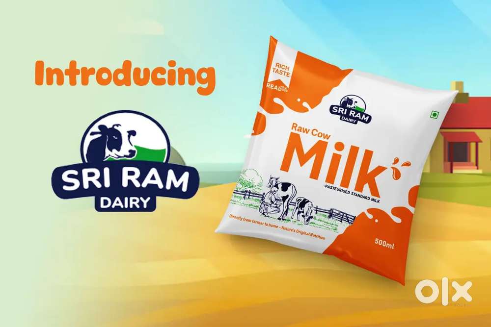 Business Development Executive (Milk )