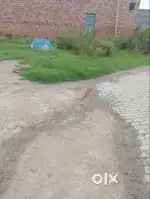 Plot for sale